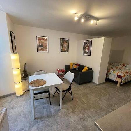 Studio Rdc Parking Prive Gratuit Doue-la-Fontaine Exterior photo