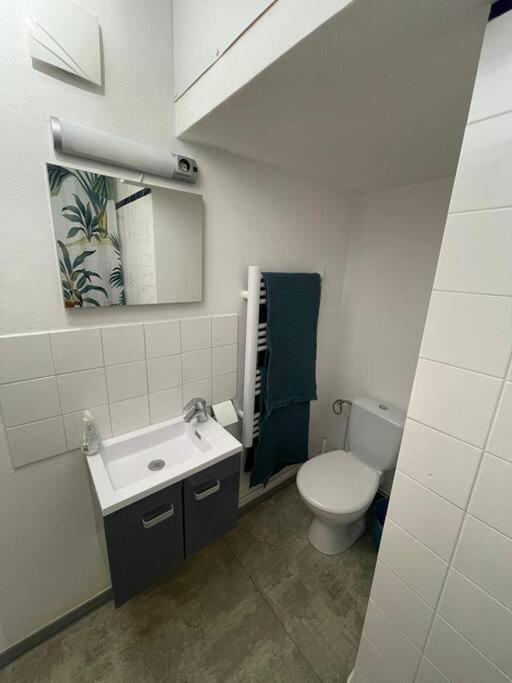 Studio Rdc Parking Prive Gratuit Doue-la-Fontaine Exterior photo